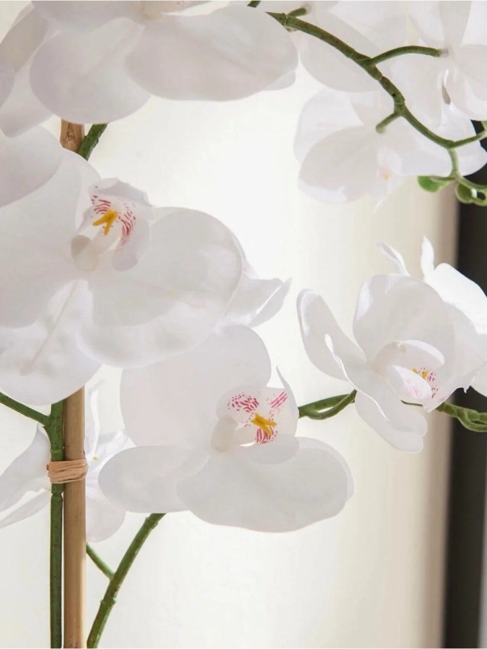 Pair of White Orchid Real Touch 29” in cement pots